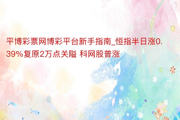 平博彩票网博彩平台新手指南_恒指半日涨0.39%复原2万点关隘 科网股普涨